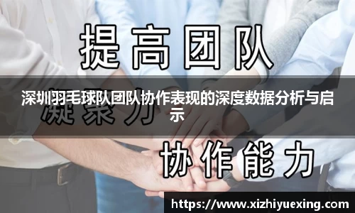 深圳羽毛球队团队协作表现的深度数据分析与启示